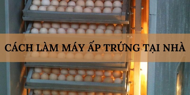 Banner www.phuonghoangkim.vn