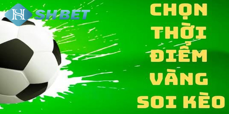 Banner www.phuonghoangkim.vn