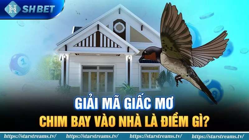 Banner www.phuonghoangkim.vn