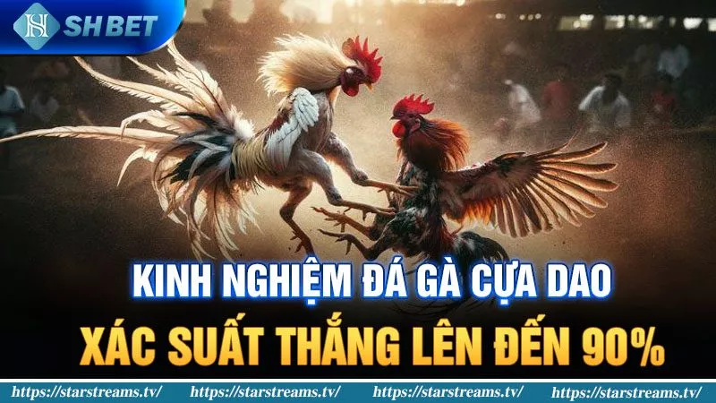 Banner www.phuonghoangkim.vn